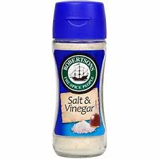 Robertsons Salt & Vinegar 100ml Bottle